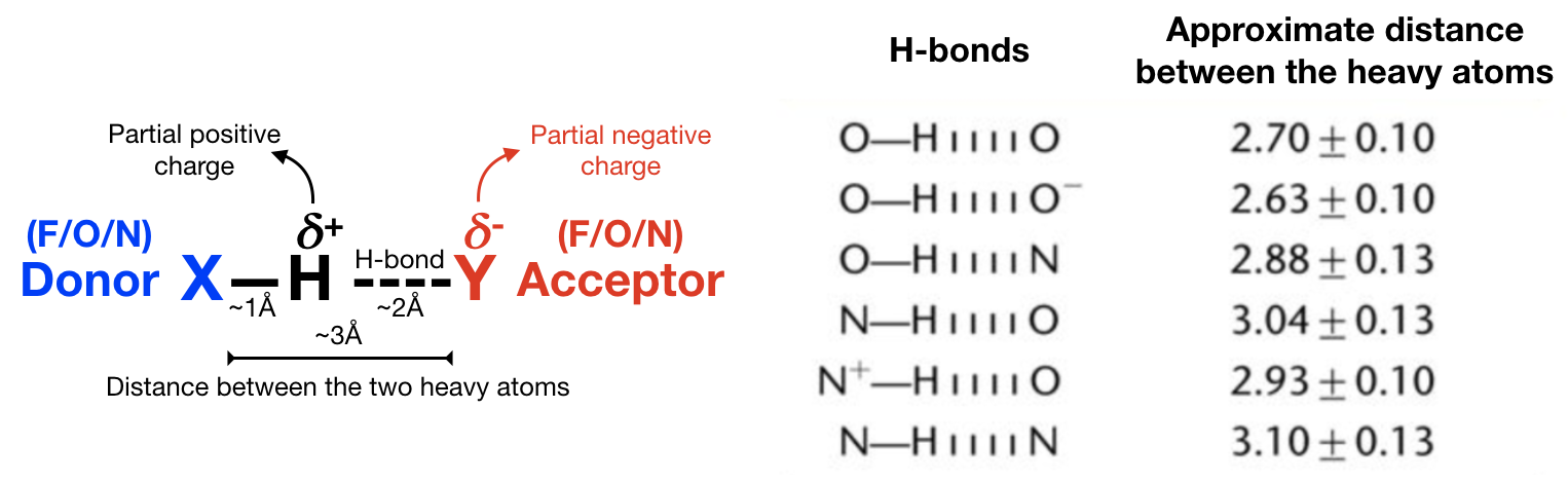 Hydrogen Bond Analysis Tutorial Biochemcore 2018 