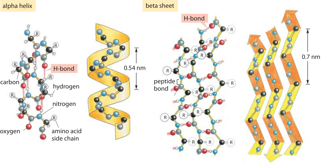 Hydrogen Bond Analysis Tutorial